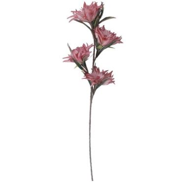 Διακοσμητικό λουλούδι Roze 80