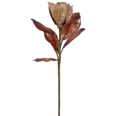 Διακοσμητικά λουλούδια Magnolia