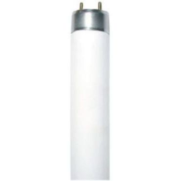 Лампа Флуор G13 Standard 18W 6400K T8