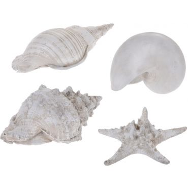 комплект of shells Aldemare