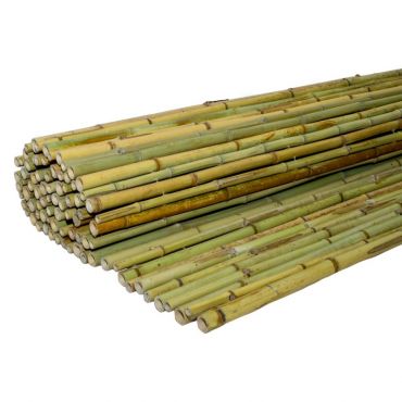 Бамбукова тръстика Ø20-25mm
