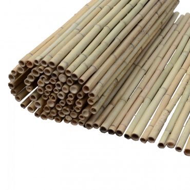 Бамбукова тръстика Ø14-20mm
