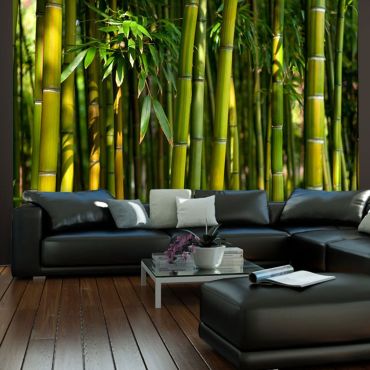 тапет - азиатска бамбукова гора