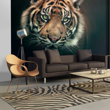 тапети - бенгалски тигър