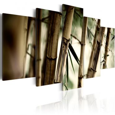 Платнен печат - азиатска бамбукова гора