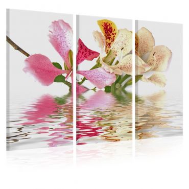 Платнен печат - Орхидея с цветни петна