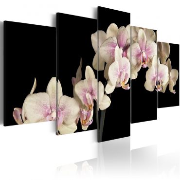 Печат върху платно - Орхидея на контрастен фон