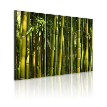 Печат върху платно - зелен бамбук 60х40