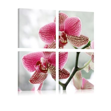 Печат върху платно - фантазия орхидея