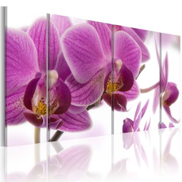 Платнен печат - Чудна орхидея
