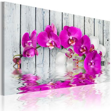 Печат върху платно - хармония: орхидея 60х40