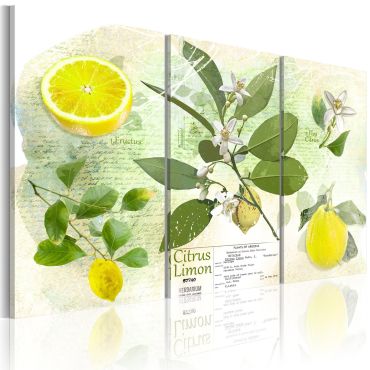 Платно печат - Плодове: лимон