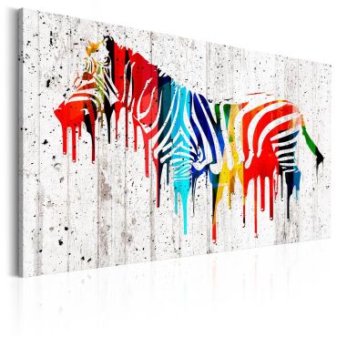 Платно печат - цветна зебра
