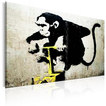 Canvas Seal - Monkey Detonator от Banksy