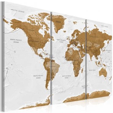 Платнен печат - Карта на света: Бяла поезия