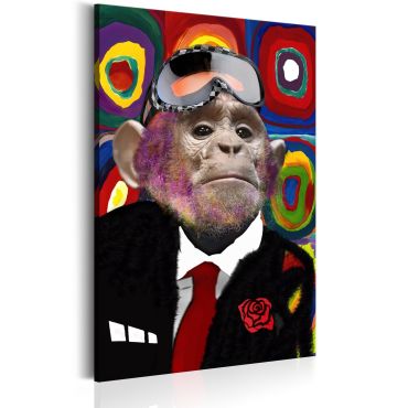Платнен печат - Mr. Маймуна