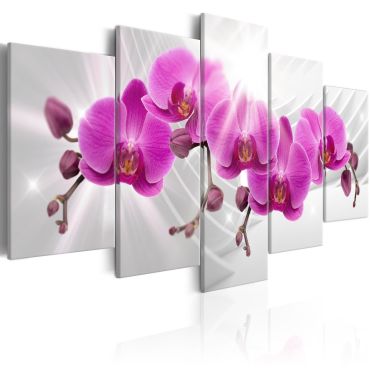 Печат на платно - Абстрактна градина: розови орхидеи