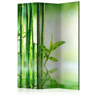 Зелен разделител - Зелен бамбук 135x172