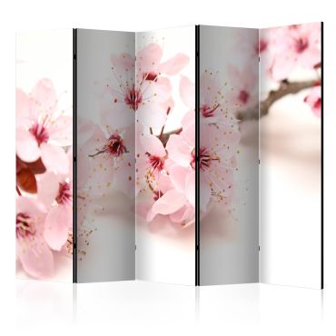 Cherry Blossom II - Cherry Blossom II 225x172