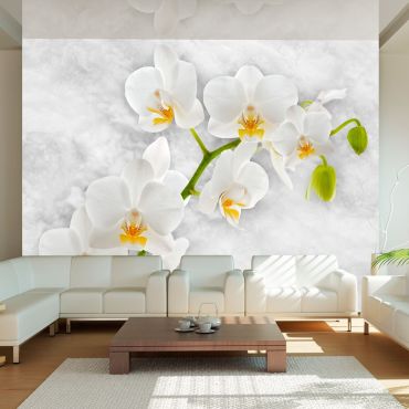 тапет - Лирична орхидея - Бяла
