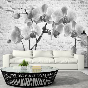 тапети - Орхидея в нюанси на сивото