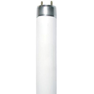 Лампа Флуор G13 Fluorescent 36W 4000K T8 Diolamp