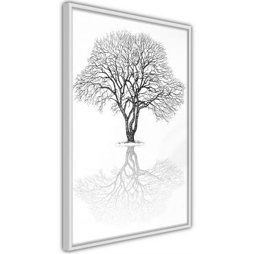 Плакат - Roots или Treetop?