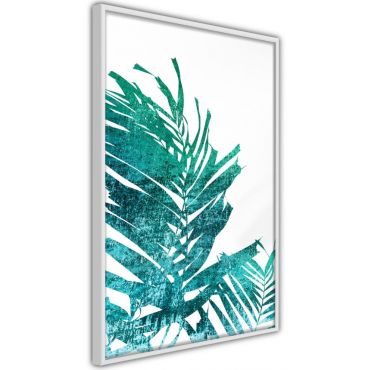 Плакат - Тилмово палмово на бял фон