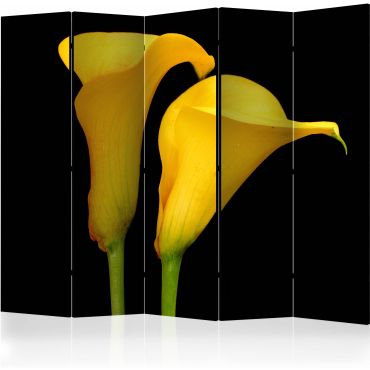 Преграда с 5 секции - Две жълти цветя кала на черен фон II [Разделители на стаи]