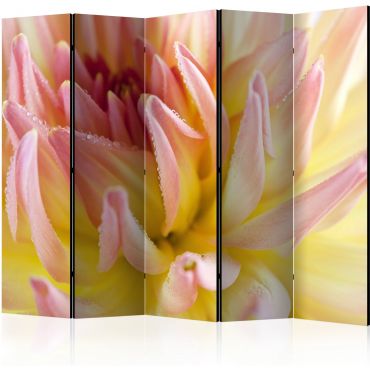 Преграда с 5 секции - пастелно оцветено цвете на георгин с капки роса II