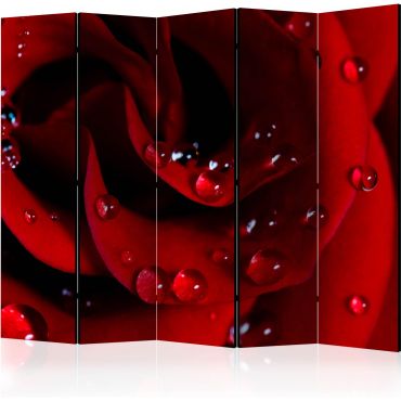 Сепаратор с 5 секции - Червена роза с водни капки II [Разделители за стаи]