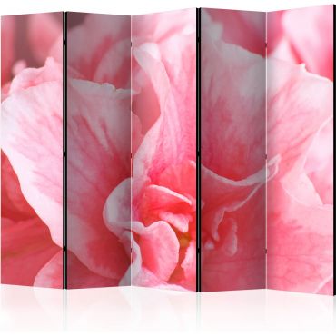 Сепаратор с 5 секции - розови цветя на азалия II [Разделители за стаи]