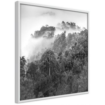 Плакат - Мъглива гора