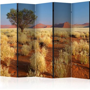 Преграда с 5 секции - Пустинен пейзаж, Намибия II [Разделители на стаи]
