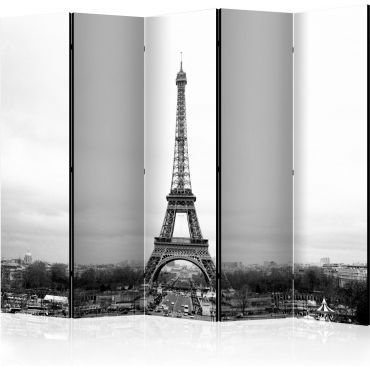 Разделител от 5 части - Париж: черно-бяла фотография [Разделители на стаи]