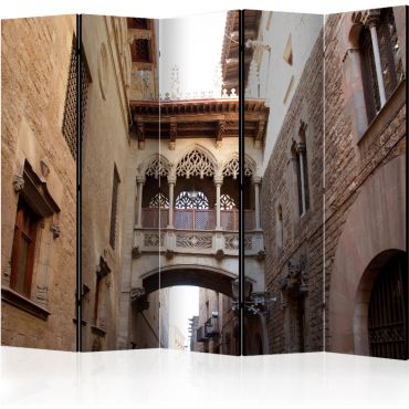 Преграда с 5 секции - Барселона Палау генералит в готически Barrio II [Разделители на стаи]