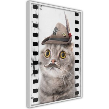 Плакат - Облечена котка