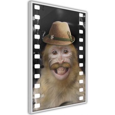 Плакат - Облечена маймуна