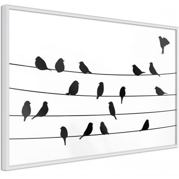Плакат - Заседание на Съвета за птици