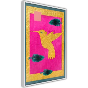 Плакат - индиански колибри