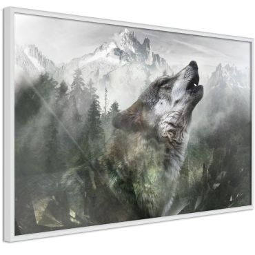 Плакат - Територията на вълка