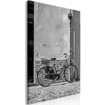 Маса - стар италиански велосипед (1 част) вертикален