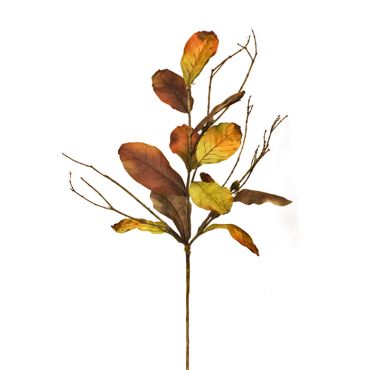 Листа от магнолия Magnoliese