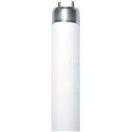 Лампа Флуор G13 Tube 36W 4000K T8