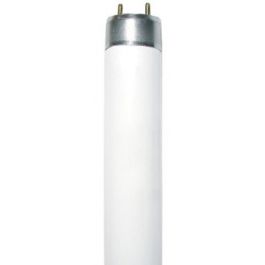 Лампа Флуор G13 Fluorescent 58W 4000K T8 Diolamp