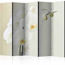 Сепаратор с 5 секции - Бяла орхидея II [Разделители за стаи]