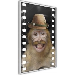Плакат - Облечена маймуна